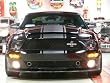 Hi-Performance Snake Stripes With Pinstripe For Mustangs & GT 05-09 Models