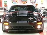 Hi-Performance Snake Stripes With Pinstripe For Mustangs & GT 05-09 Models