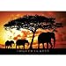Elephant Family (Togetherness) Art Poster Print - 24x36
