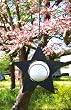 Star Solar Hanging Lantern Star Solar Hanging Lantern