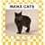 Manx Cats (Cats Set I)