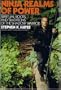 Ninja Realms of Power: Spiritual Roots and Traditions of the Shadow Warrior