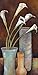 Calla Lily HIGH QUALITY CANVAS Print With Light Added BRUSHSTROKES Diane Knowles 10x20