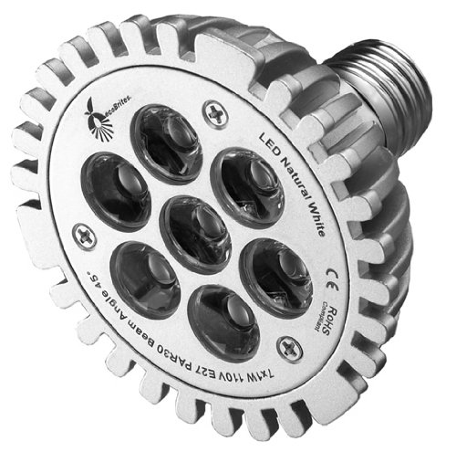 ecoBrites eco-friendly & energy efficient LED Light Bulb 7w (to replace 60w incandescent)