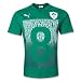 Ireland Number 8 Rugby T Shirt (Green)