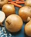 Walla Walla Onion Seeds - Allium Cepa - 1 Grams - Approx 285 Gardening Seeds - Vegetable Garden Seed