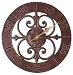 Outdoor Thermometers by Hen Feathers Copper Classic Rosette