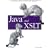 Java and XSLT (O'Reilly Java)