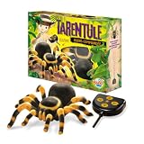 remote control tarantula 51%2BMomHLoXL. SL160 Remote Control Tarantula