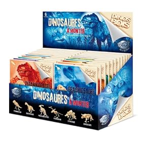 Buki France - D6B - Jeu Educatif - Science et Nature - Dinos Bois