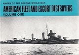 American fleet and escort destroyers