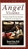 Angel Visions: True Stories of People Who Have Seen Angels, and How You Can See Angels, Too!
