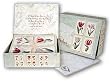 17th Century Tulipa Studies - Box Set of 20 Assorted Greeting Cards and Patterned Envelopes