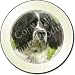 2 BLACK/WHITE SPRINGER SPANIELS Tax Disc Holder