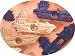 Military Aircraft Carrier Eyelets 1/8 Scrapbooking Embellishments - Pack of 8 - Paper Craft, Holiday Cards & Tags, Paper Piecing Supplies