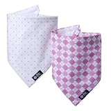 Bazzle Baby Bandabib Set - Sweet Pea/ Preppy