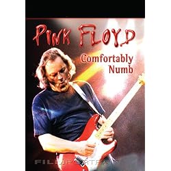 Pink Floyd Comfortably Numb