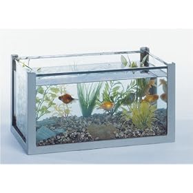 Click here to buy Hubbard Scientific 40101 Aquarium 6 Gal. with cover 18 InchX10 InchX10 Inch by Hubbard Scientific.