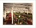Grosser Kurfurst dining room first class North German Lloyd Royal Mail Steamers, FRMD