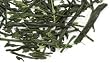 Sencha Spring Tea, 4oz.