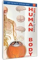 The Human Body - Nervous System Streaming.