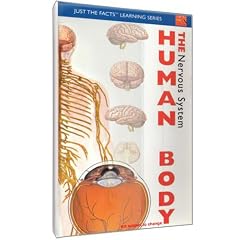 Just The Facts: The Human Body - Nervous System