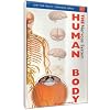 Just The Facts: The Human Body - Nervous System