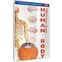 Just The Facts: The Human Body - Nervous System
