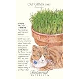 Cat Grass Seeds 500 Seeds