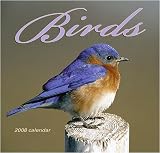 Birds 2008 Wall Calendar