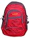 GLEAM RED WITH GREY POLYESTER SCHOOL BAG RS.999.00