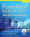Microsoft PowerPivot for Excel 2010 : give your data meaning