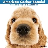THE DOG アメリカン･コッカー･スパニエル 2012年ｶﾚﾝﾀﾞｰ 画像