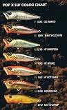 MEGABASS  メガバス POPX-SW  ポップX-SW　　　　　IL HOTARU-IKA