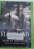 Floodland