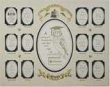Ivy Hill K-12 School Photo Collage Mat (Owl) - Blue