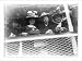Historic Print (L): [Part of BALTIC's boatload of 1000 marriageable girls. 1907]