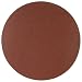 Delta 31-698 9-Inch 100 Grit Sanding Disc (2-Pack)