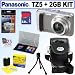 Panasonic Lumix DMC-TZ5S 9MP Digital Camera (Silver) + 2GB Accessory Kit