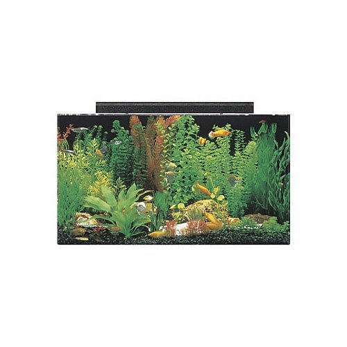 Seaclear 50 gal acrylic aquarium combo set, 36 by 15 by…