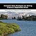 Book Successful Sales Strategies For Selling Vitamins & Supplements Online