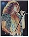 Robert Plant Autographed Concert 8x10 Led Zeppelin Photo