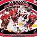 OTTAWA SENATORS 2010 NHL Monthly 12" X 12" WALL CALENDAR