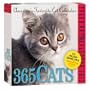 365 Cats 2013 Page-A-Day Calendar