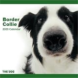 Kitchen & Housewares : Border Collie - Dog Artlist Collection - 2009 Calendar