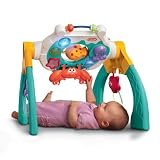 Little Tikes Musical Motion Ocean Gym