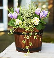 Planted Barrel