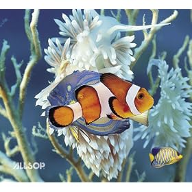 Allsop 3D Mouse Pad-Marine Theme (30377) by 