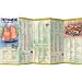 VIETNAMESE a language map�