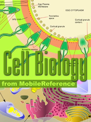 Textbook - Cell Biology Study Guide: Prokaryotes, Archaea, Eukaryotes, Viruses, Cell Components, Respiration, Protein Biosynthesis, Cell division, Cell Signaling ... Cell chapter in demo (Mobi Study Guides)